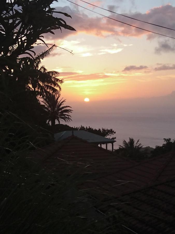 فيلا Le Hameau Du Morne Des Cadets Fond-Saint-Denis المظهر الخارجي الصورة