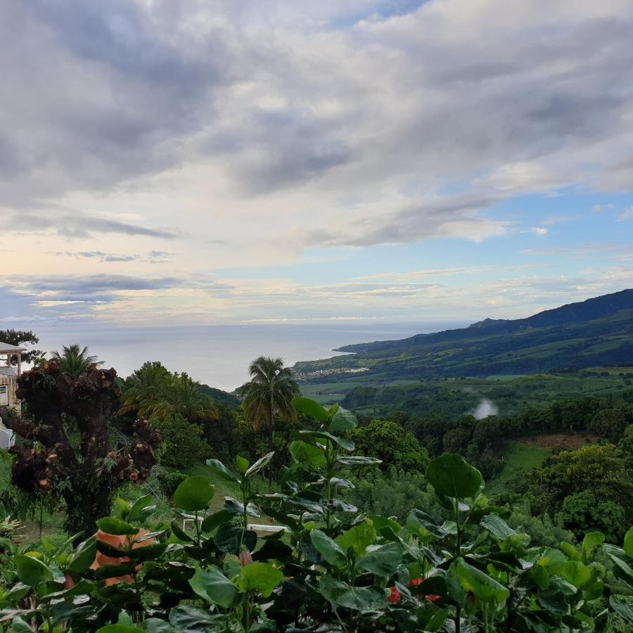 فيلا Le Hameau Du Morne Des Cadets Fond-Saint-Denis المظهر الخارجي الصورة
