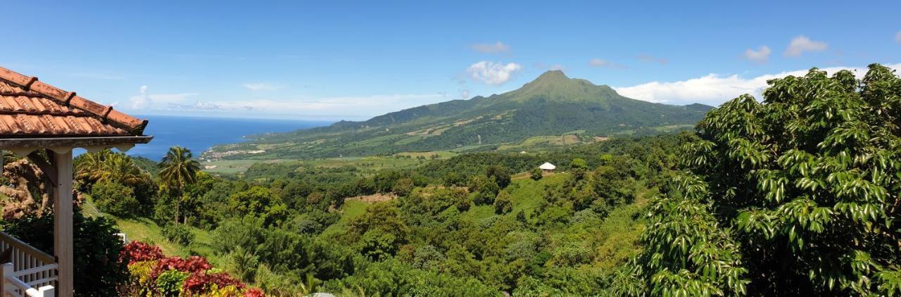 فيلا Le Hameau Du Morne Des Cadets Fond-Saint-Denis المظهر الخارجي الصورة